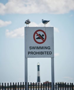 Seagulls perching on information sign against sky