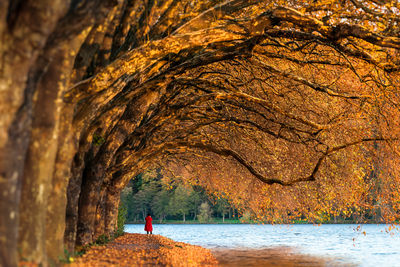 Scenic view of lake