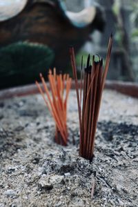 Close-up of incense