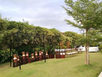 Trees on field against sky