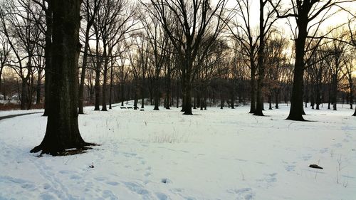 Scenic view of snow covered landscape