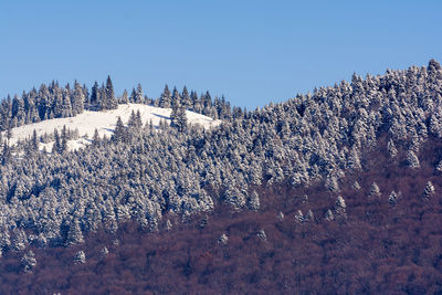 Scenic view of snow covered landscape against clear sky