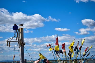 Close-up of flags by pole against sky