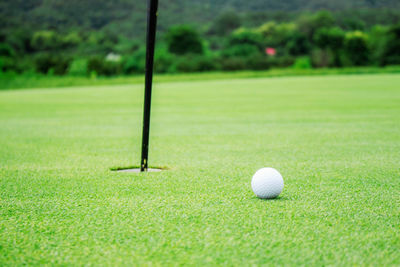 Close-up of golf ball on grass