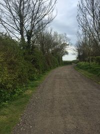 Empty road along bare trees