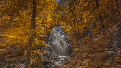 Waterfall in forest during autumn