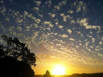 Low angle view of silhouette trees against sky during sunset