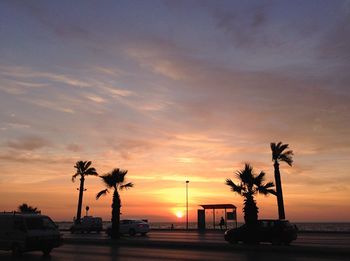 Palm trees at sunset