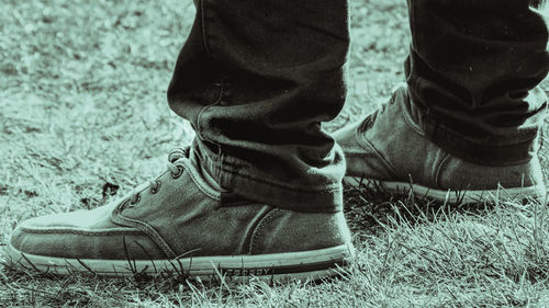 Low section of person wearing shoes standing on field