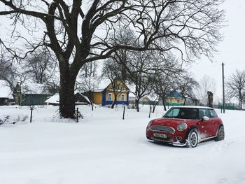 Bare trees by house during winter