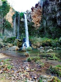 View of waterfall in forest