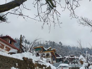 Snow covered bare tree and buildings against sky