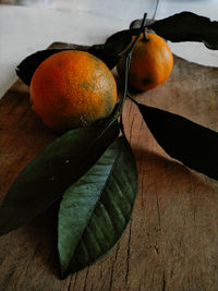 High angle view of orange fruits on table