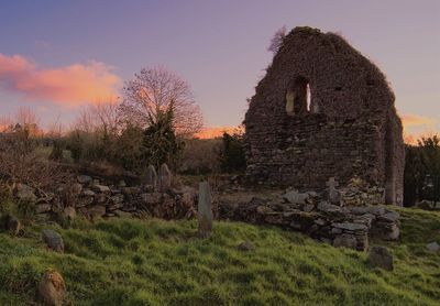 Trees on grassy field