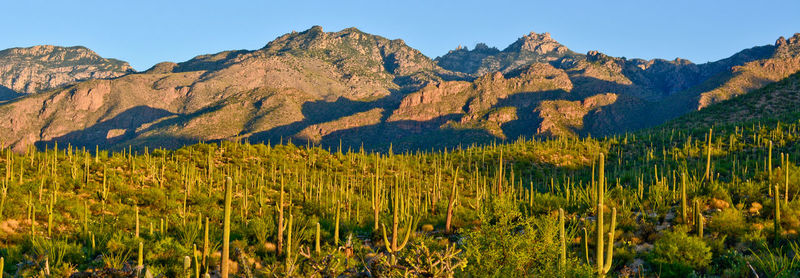 Scenic view of mountains against clear sky