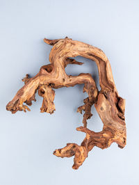 wood