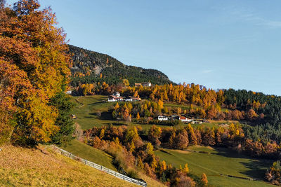 Scenic view of trees during autumn against sky