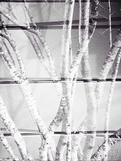 close-up, hanging, reflection, day, connection, indoors, no people, built structure, metal, water, rope, nature, power line, architecture, sunlight, white color, cable, plant, wall - building feature