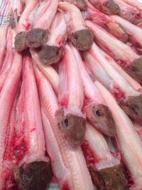 Close-up of fish for sale at market stall