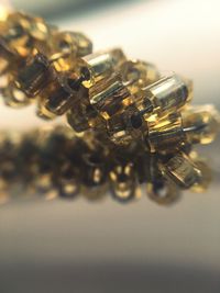 Close-up of crab on table