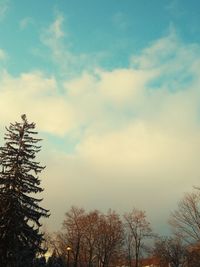 Low angle view of silhouette trees against sky