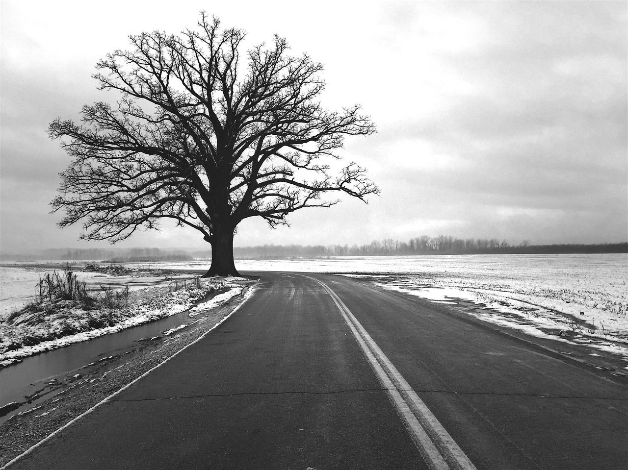 the way forward, bare tree, diminishing perspective, road, vanishing point, tranquility, tranquil scene, sky, tree, transportation, winter, snow, cold temperature, nature, scenics, landscape, country road, weather, beauty in nature, empty road