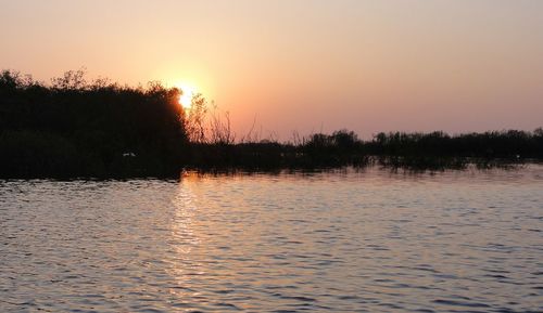 Silhouette trees by calm lake at sunset