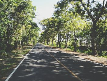 Road amidst trees against sky