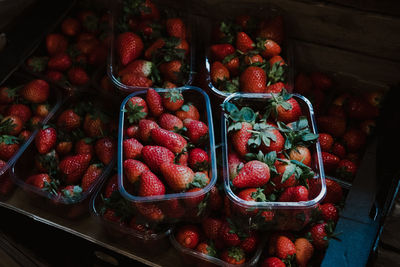 High angle view of fruits in container