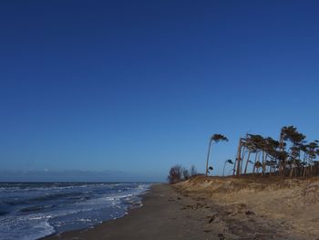 Scenic view of beach against clear blue sky