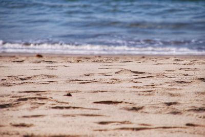 Surface level of sandy beach