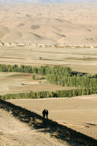 Scenic view of a desert