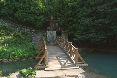 Footbridge amidst trees in forest