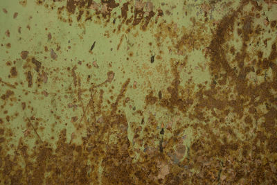 Full frame shot of weathered wall