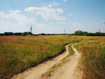 Dirt road passing through field