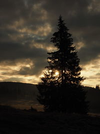 Trees on landscape against sky at sunset
