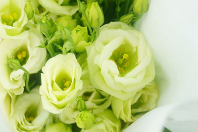 High angle view of chopped vegetables in plate