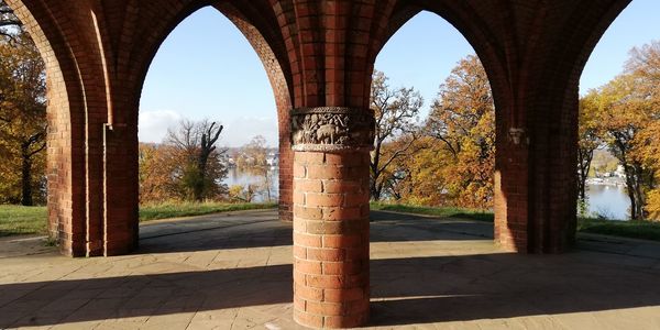 Trees seen through arch bridge