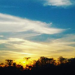 Low angle view of silhouette trees against sky during sunset