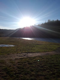 Scenic view of field against bright sun