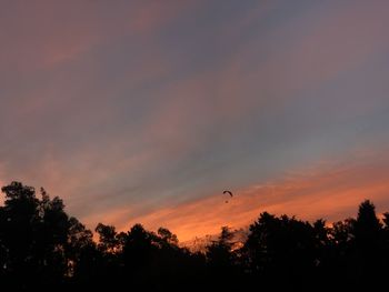 Low angle view of silhouette trees against orange sky