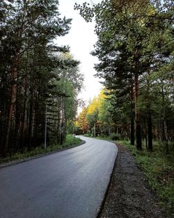 Road amidst trees in forest against sky