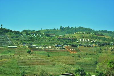 Scenic view of agricultural field against clear sky