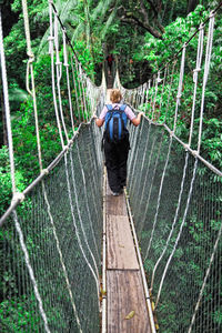 Rear view of woman on footbridge in forest