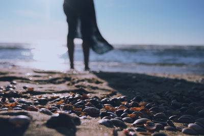 Low section of person on pebbles at beach against sky