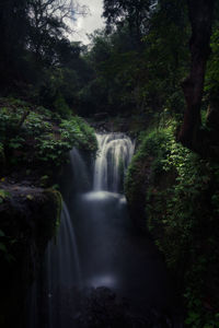 Waterfall in forest