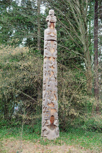 View of tree trunk in field