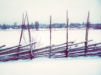 nature