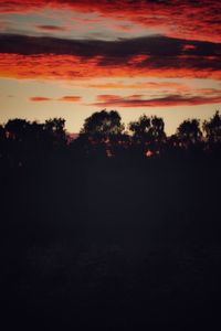 Silhouette of trees against dramatic sky
