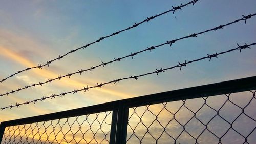 fence